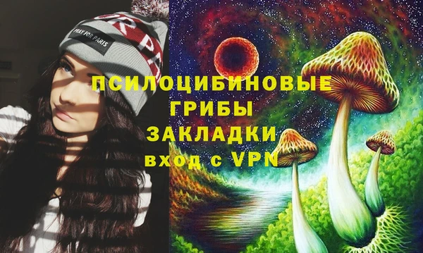 круглые Осташков