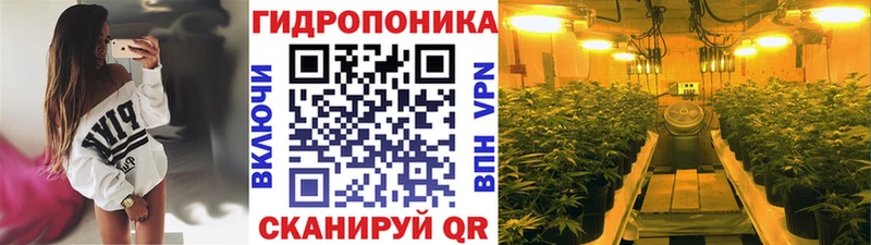 KRAKEN вход  Выкса  Бошки марихуана OG Kush 